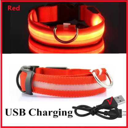 Bright Waterproof Safety Light for your Pet