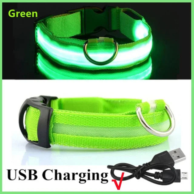 Bright Waterproof Safety Light for your Pet