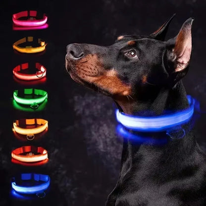 Bright Waterproof Safety Light for your Pet