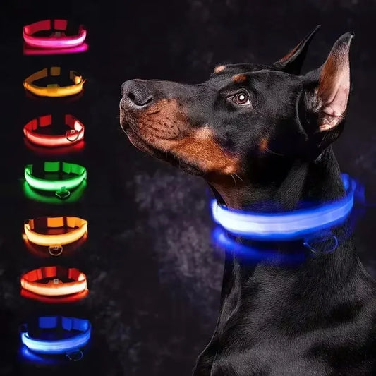Bright Waterproof Safety Light for your Pet