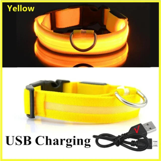 Bright Waterproof Safety Light for your Pet