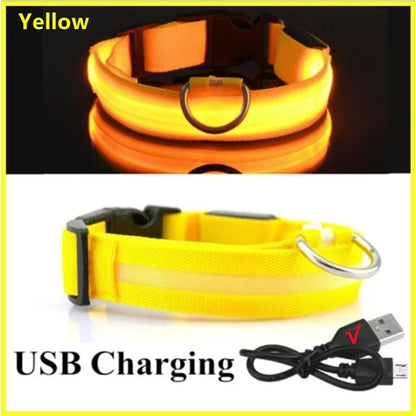 Bright Waterproof Safety Light for your Pet