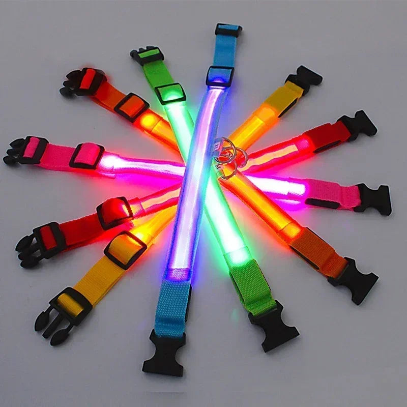 Bright Waterproof Safety Light for your Pet