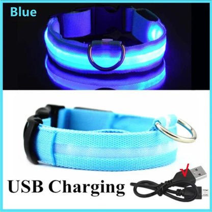 Bright Waterproof Safety Light for your Pet