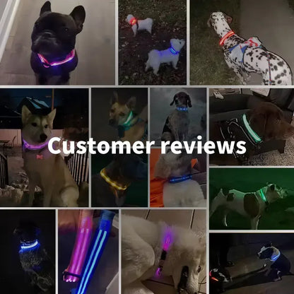Bright Waterproof Safety Light for your Pet