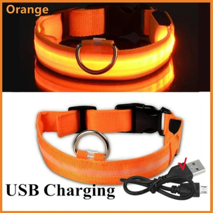Bright Waterproof Safety Light for your Pet