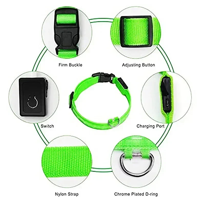 Bright Waterproof Safety Light for your Pet