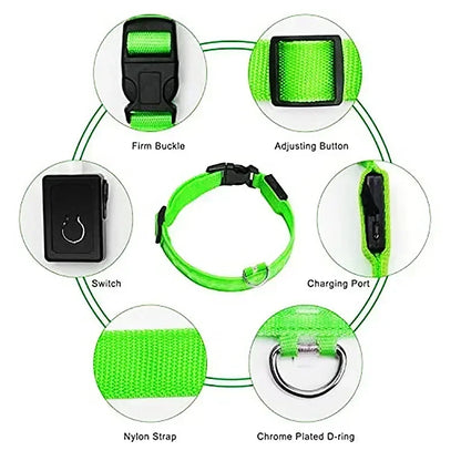 Bright Waterproof Safety Light for your Pet