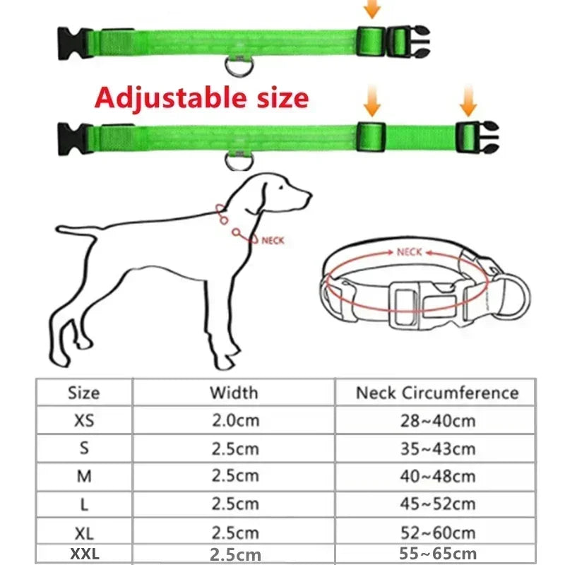 Bright Waterproof Safety Light for your Pet
