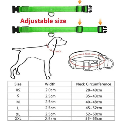 Bright Waterproof Safety Light for your Pet