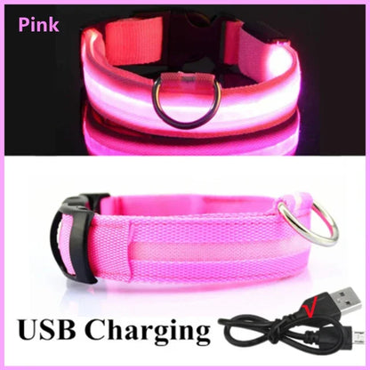 Bright Waterproof Safety Light for your Pet
