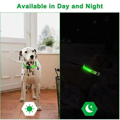 Bright Waterproof Safety Light for your Pet