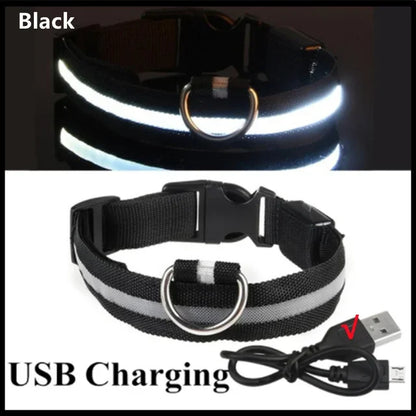 Bright Waterproof Safety Light for your Pet
